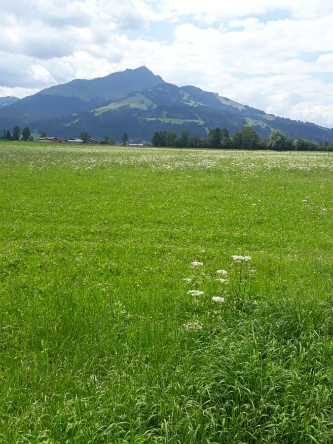 Appartement Muellner Kirchdorf in Tirol Esterno foto